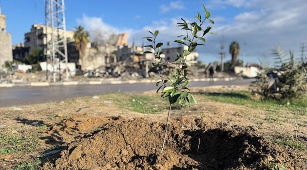 DR.MENDERES KURT: Yerleşimci kolonyalizmin silahları: Bir işgal yöntemi olarak yeşil ormanlar ekolojisi